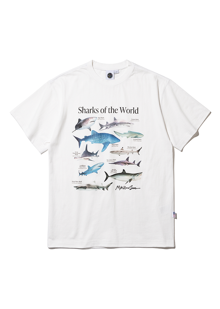 SHARKS OF THE WORLD 화이트
